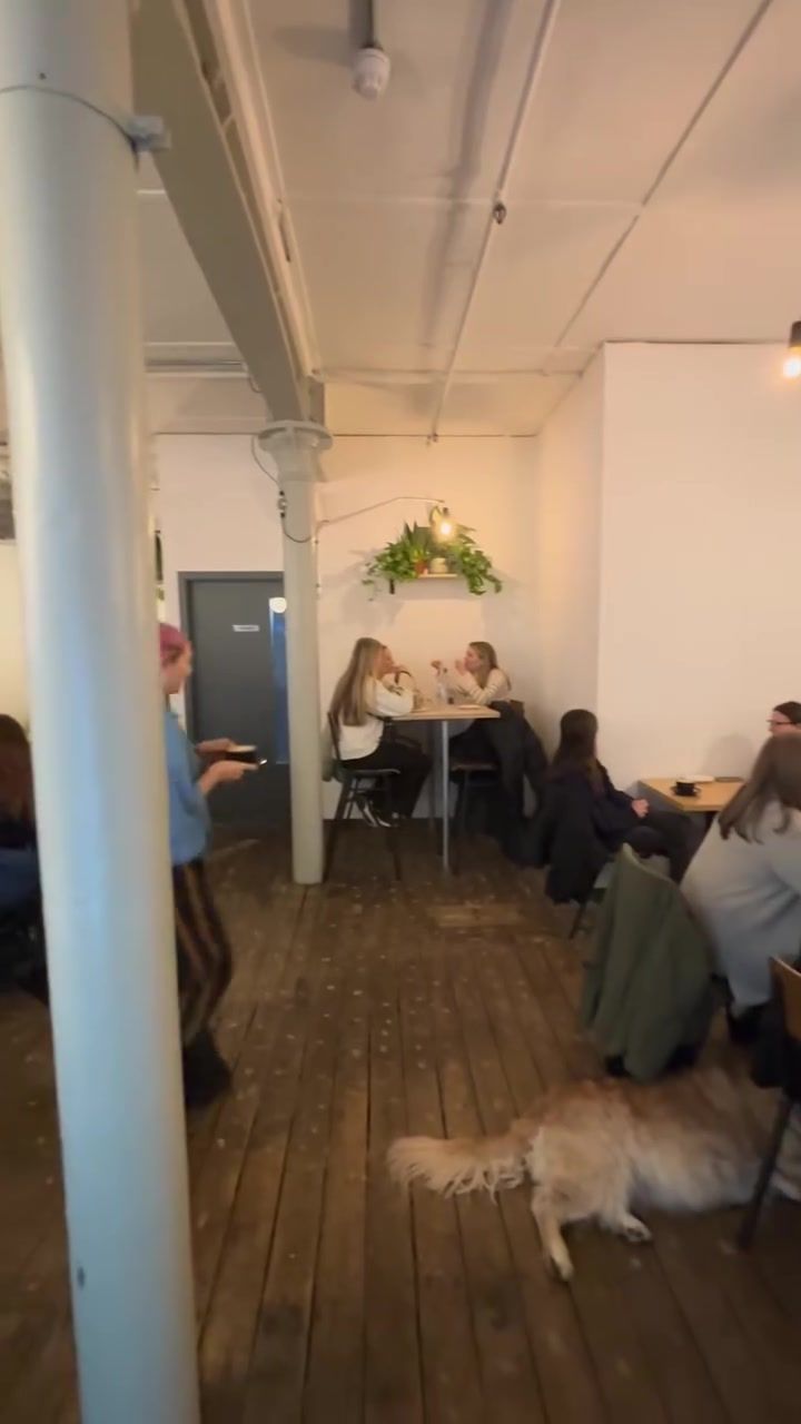 A fluffy dog asleep on the wooden floor between the tables